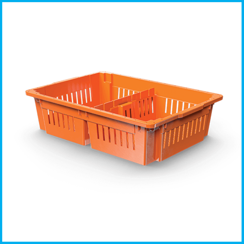 Chick Box 2 Compartment, mnaplastic, Single Rack, MNA Plastic Industry: Plastic Solutions for Poultry, Baskets & Bins, Poultry equipment manufacturers, Poultry products, shell, crate, tray.