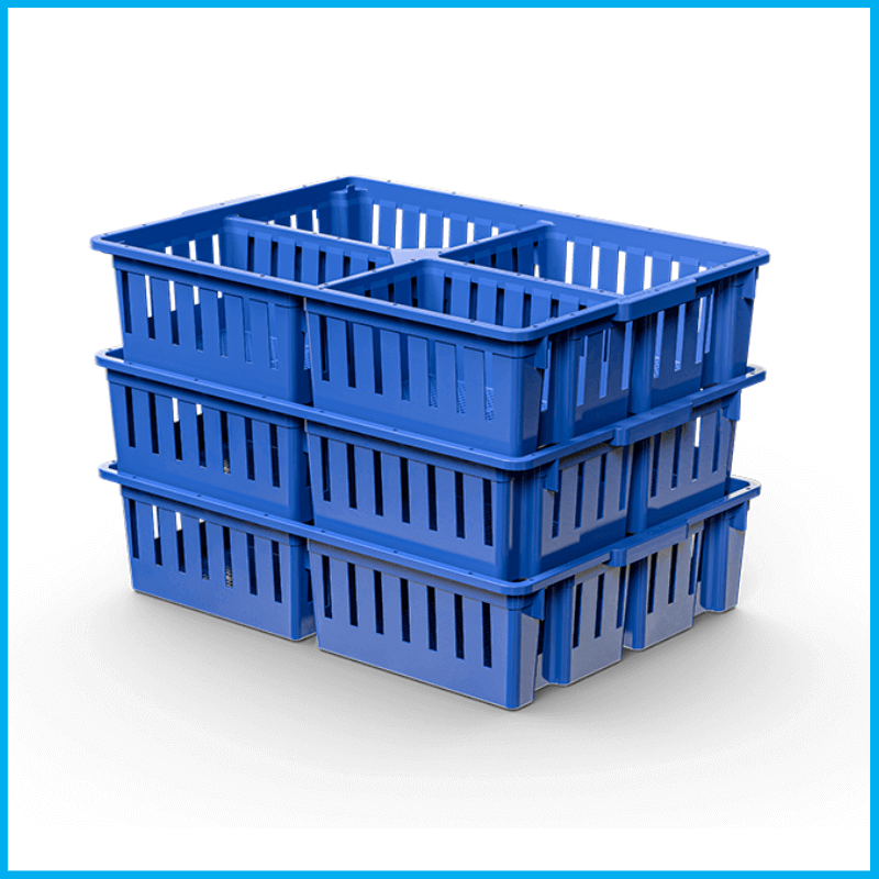 Chick Box 4 Compartment, mnaplastic, Three Rack, MNA Plastic Industry: Plastic Solutions for Poultry, Baskets & Bins, Poultry equipment manufacturers, Poultry products, shell, crate, tray.