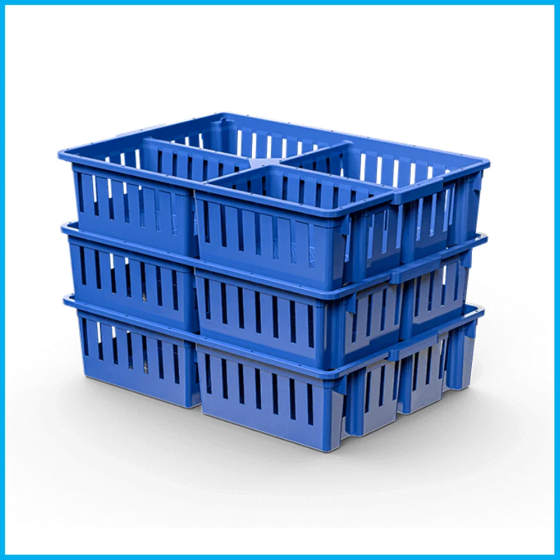 Chick Box 4 Compartment, mnaplastic, Three Rack, MNA Plastic Industry: Plastic Solutions for Poultry, Baskets & Bins, Poultry equipment manufacturers, Poultry products, shell, crate, tray.