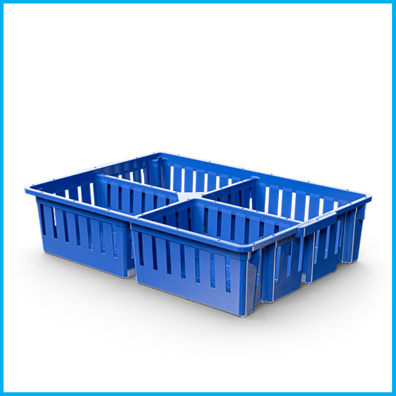 Chick Box 4 Compartment, mnaplastic, single, mnp plastic, MNA Plastic Industry: Plastic Solutions for Poultry, Baskets & Bins, Poultry equipment manufacturers, Poultry products, shell, crate, tray.