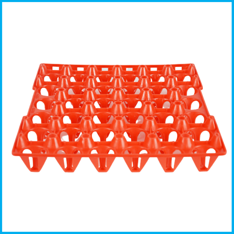Layer Egg Tray, mna plastic, MNA Plastic Industries, MNA Plastic Industry: Plastic Solutions for Poultry, Baskets & Bins, Poultry equipment manufacturers, Poultry products, shell, crate, tray.