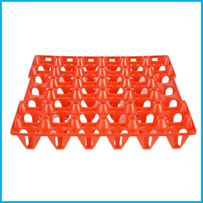 Layer Egg Tray, mna plastic, MNA Plastic Industries, MNA Plastic Industry: Plastic Solutions for Poultry, Baskets & Bins, Poultry equipment manufacturers, Poultry products, shell, crate, tray.